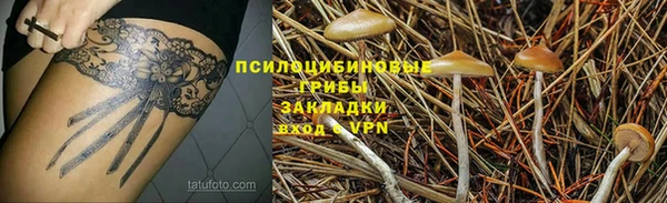 трава Алзамай